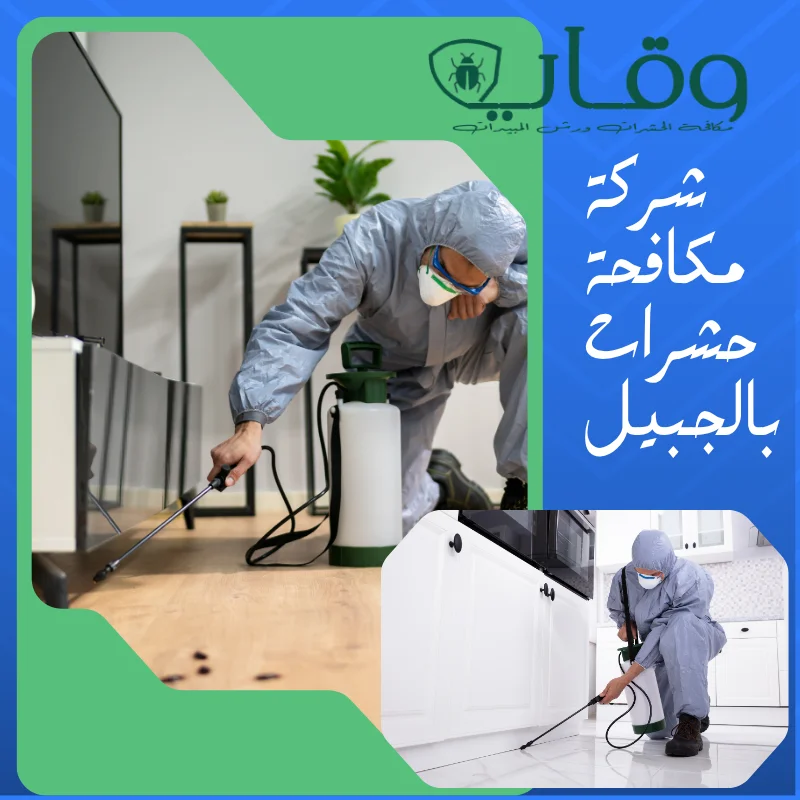 أفضل حلول مكافحة الحشرات في الجبيل باستخدام مبيدات حشرات آمنة بالضمان