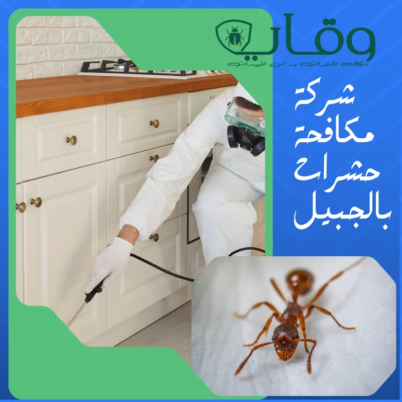 نوفر رش مبيدات في الجبيل لنساعدك علي التخلص من الحشرات بافضل طريقة واسرع وقت